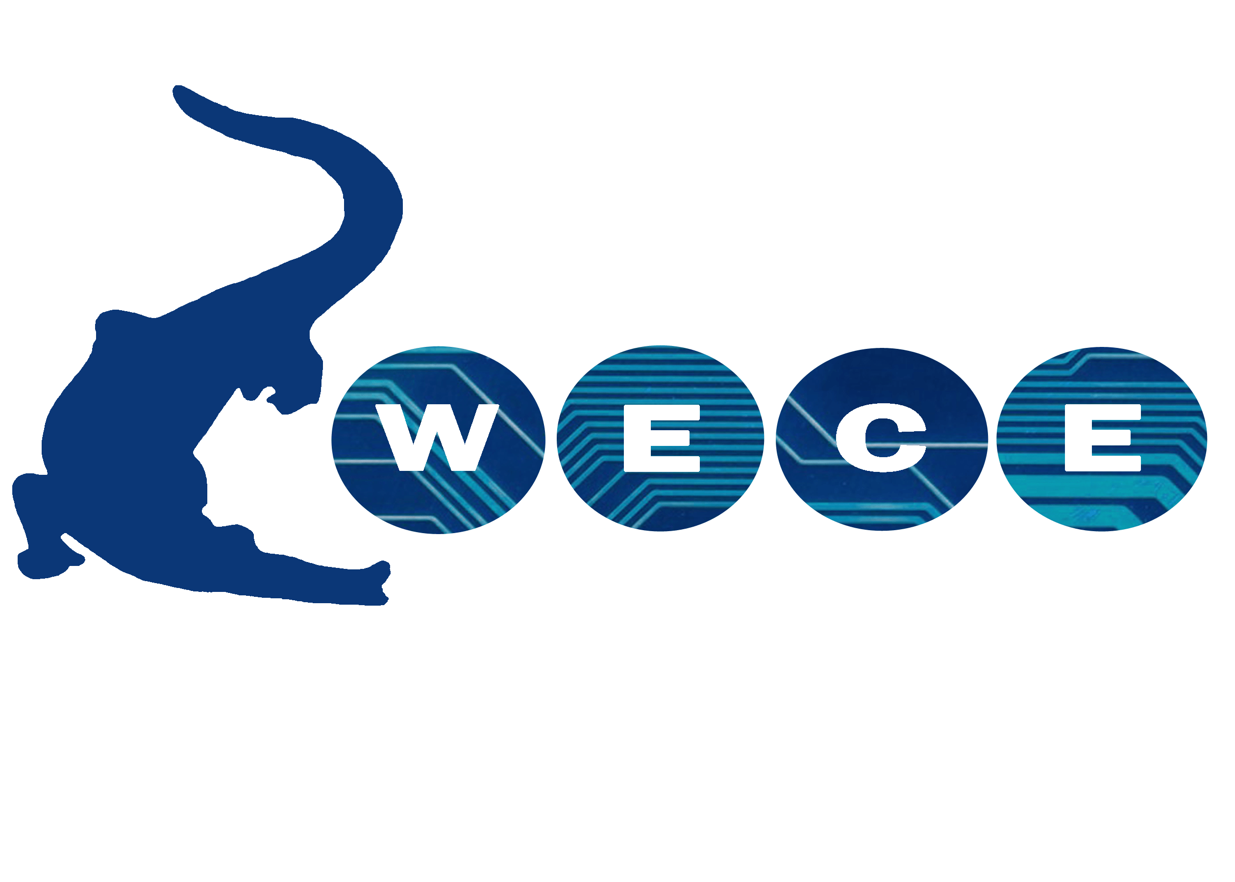 Women in Electrical and Computer Engineering